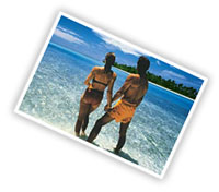 Lifepartner.in Matrimonials - Submit your success story